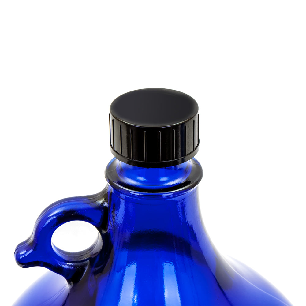 2 x Glasballonflasche 5 Liter